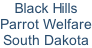 Black Hills  Parrot Welfare South Dakota